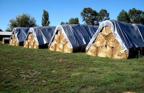 agriculture-tarps